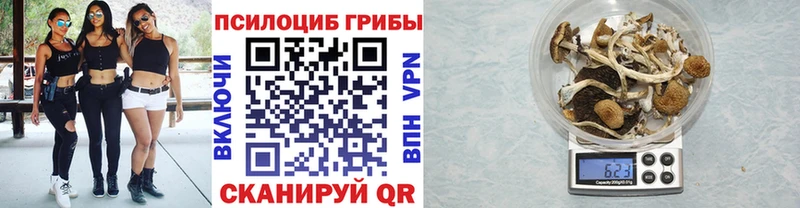 купить   Пучеж  Галлюциногенные грибы Magic Shrooms 